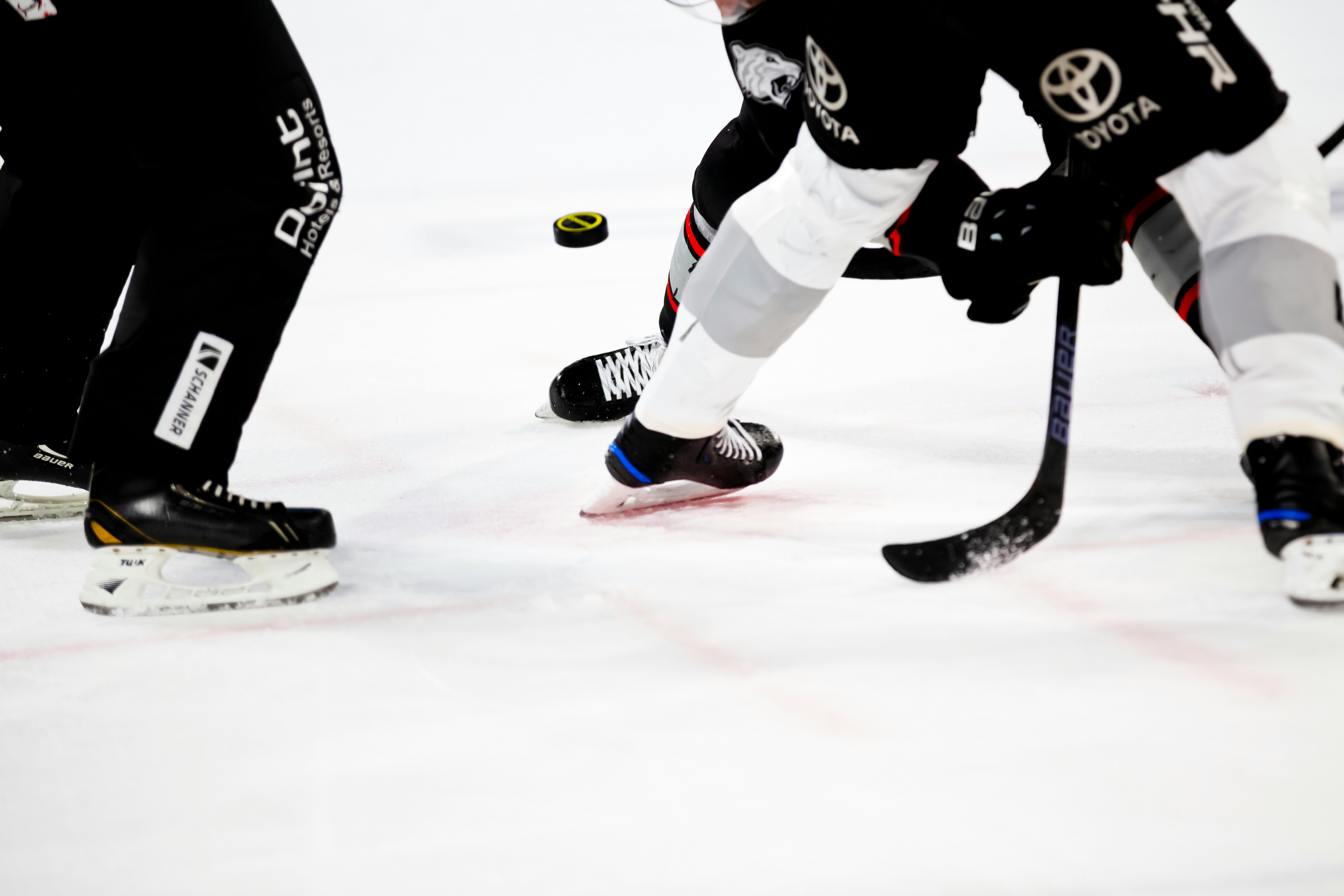 Florida Panthers Travel Packages