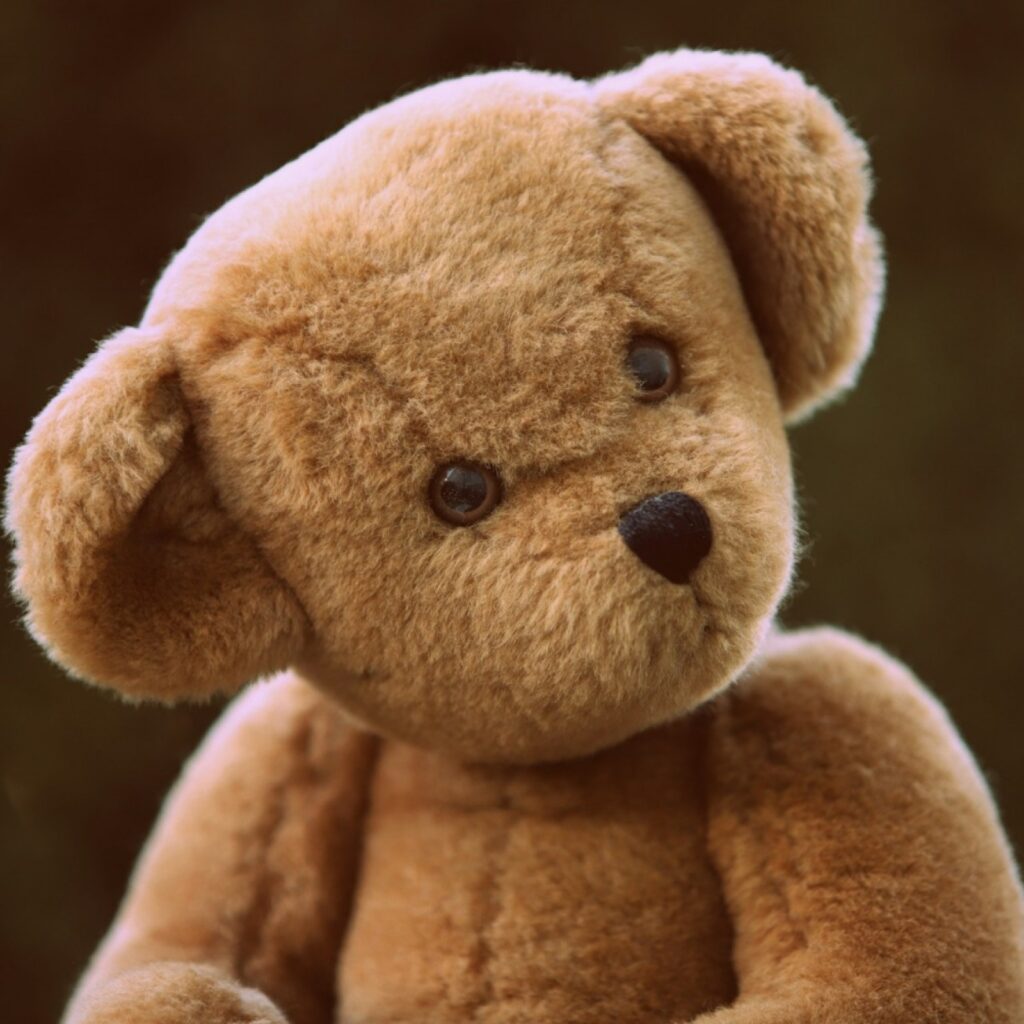 Poe the AI story bear